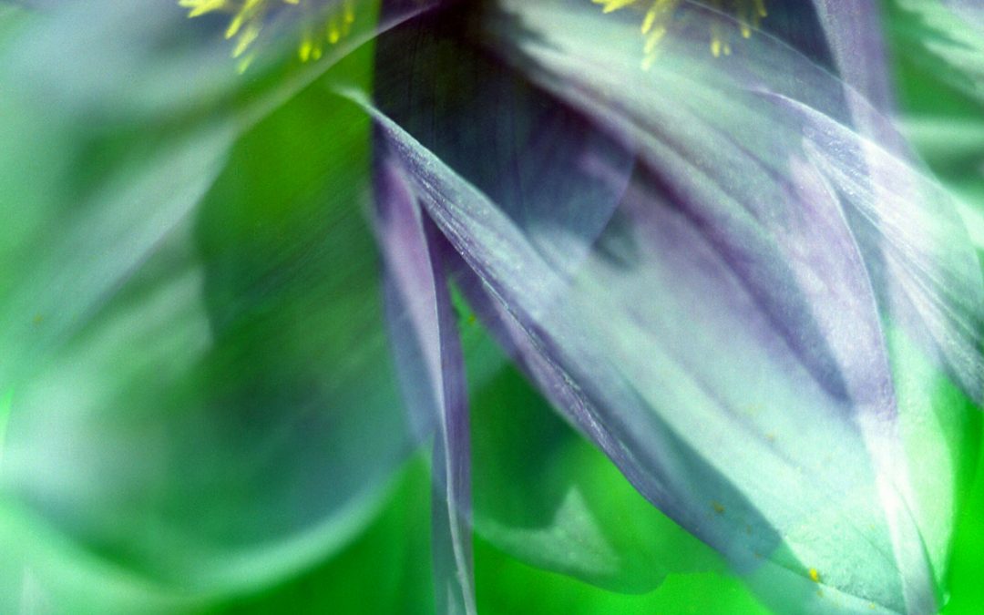 Exhibiting in October 2018